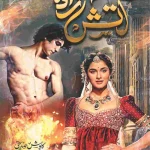 aatish zada
