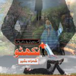Nikhattu by Shahzad Bashir