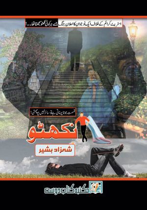 Nikhattu by Shahzad Bashir