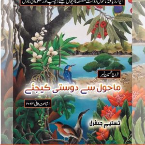 tasneem jafri novel