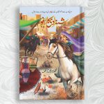 Shahzadi ka Aghwa